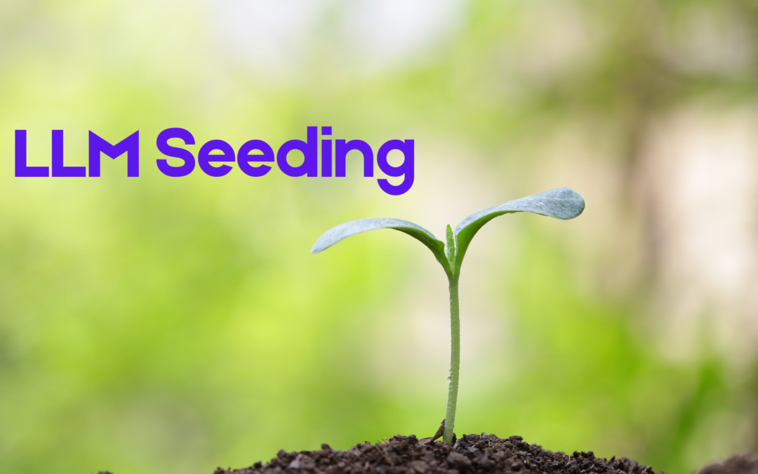 How LLM Seeding Works: Definition, Template, and Strategy