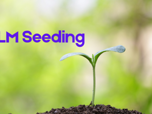 How LLM Seeding Works: Definition, Template, and Strategy How LLM Seeding Works: Definition, Template, and Strategy